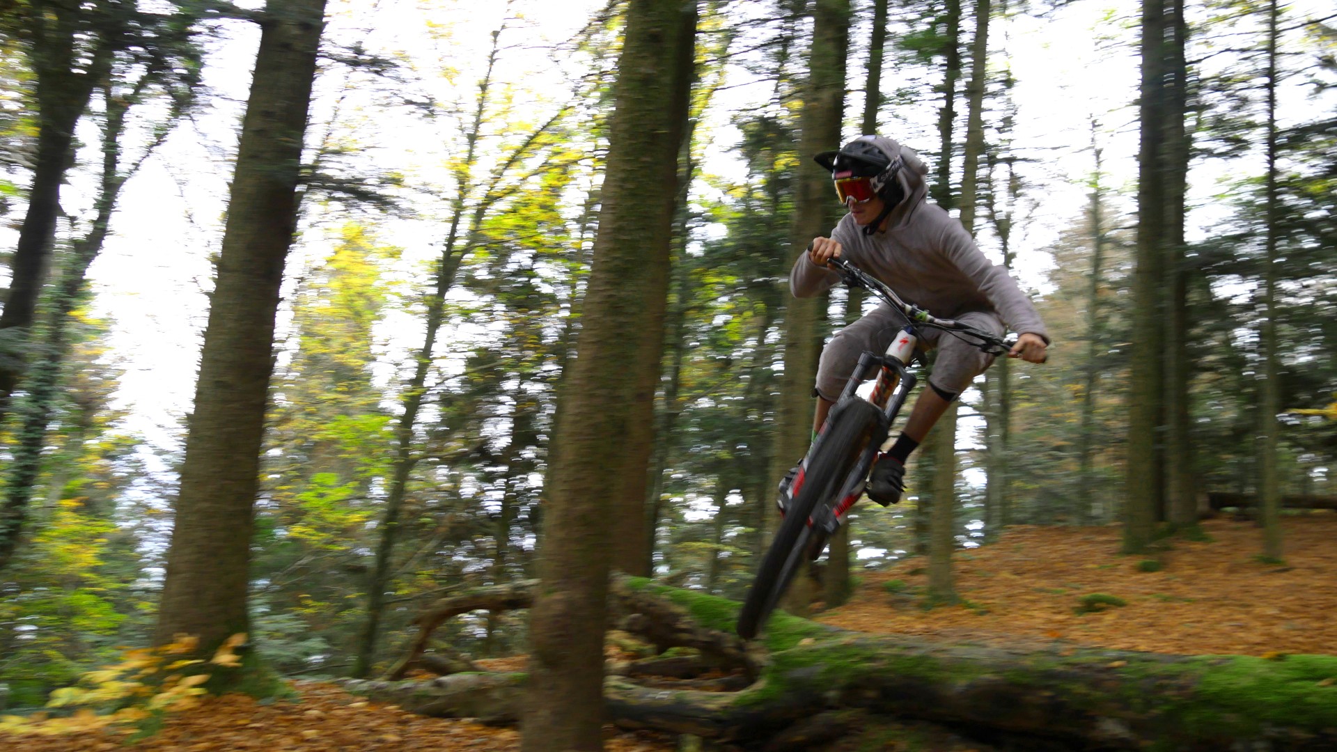 Red Leaves Day, journée de clôture 2017 Red Leaves Day, journée de clôture 2017